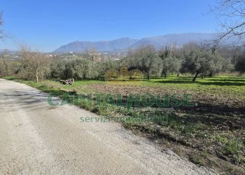 Foto 16 - Terreno agricolo Via Contrada Migliara, Sant'Agata De' Goti - foto 16