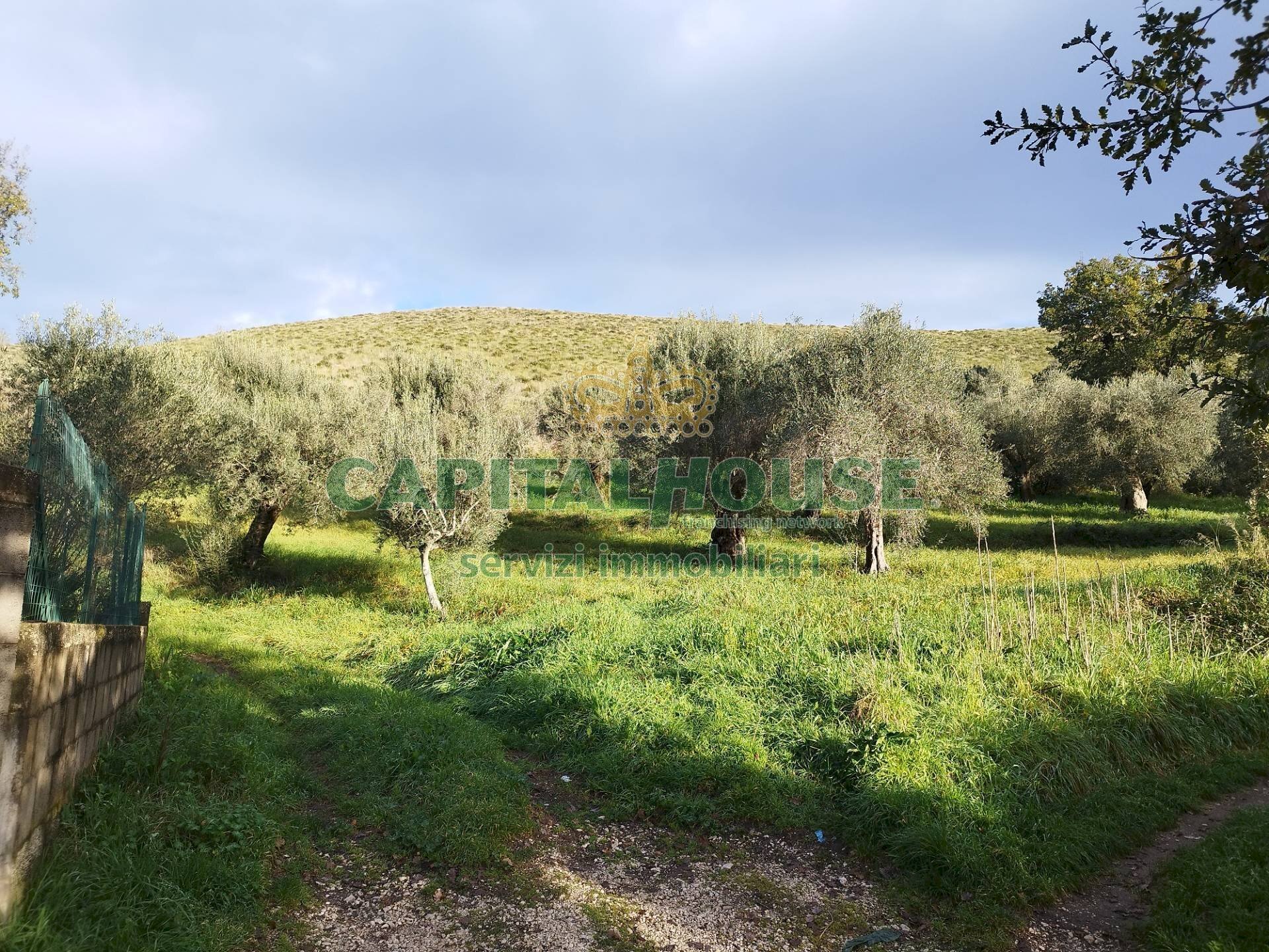 Foto 2 - Terreno agricolo via radiccio, Pastorano - foto 2