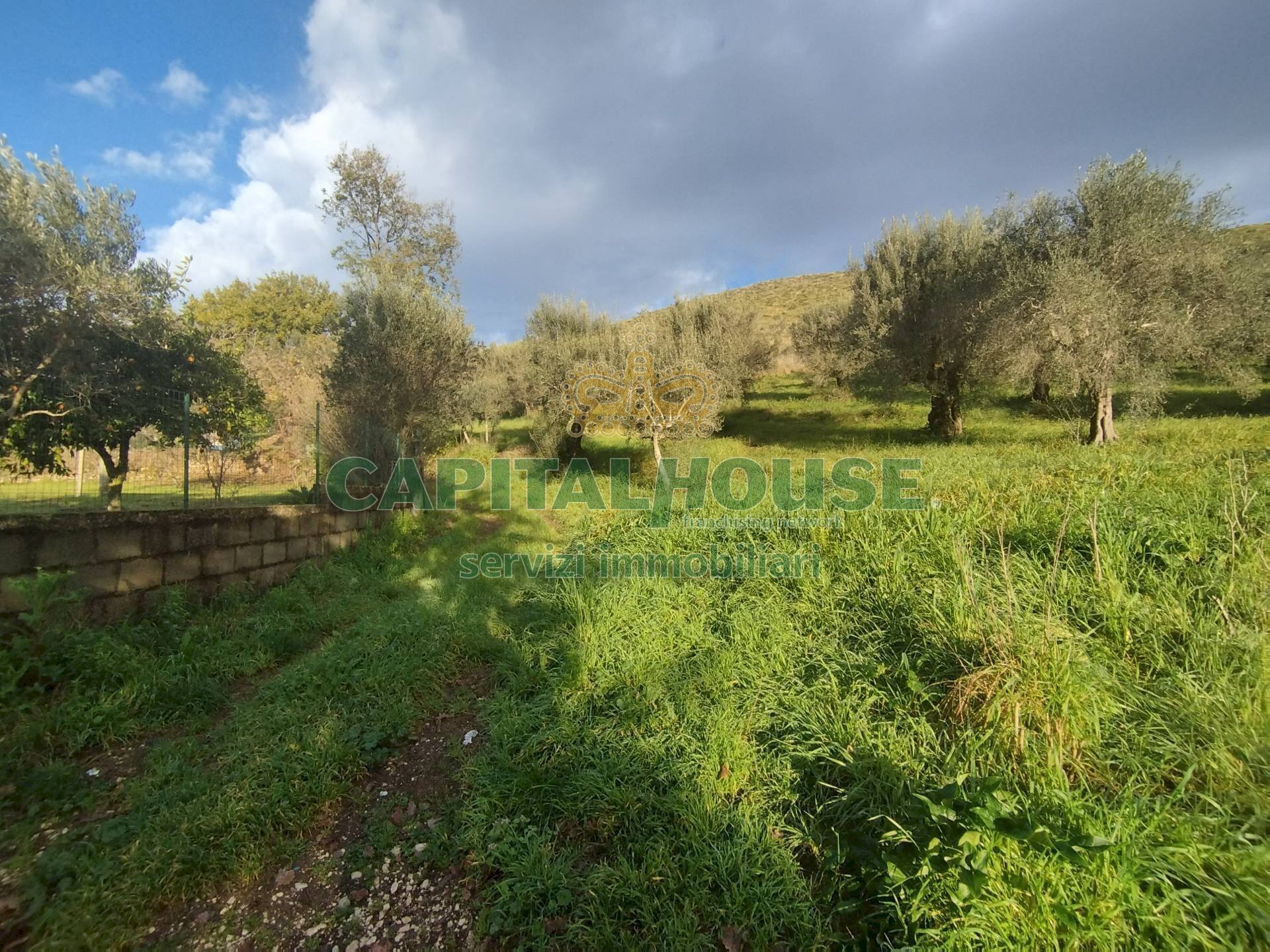 Foto 3 - Terreno agricolo via radiccio, Pastorano - foto 3