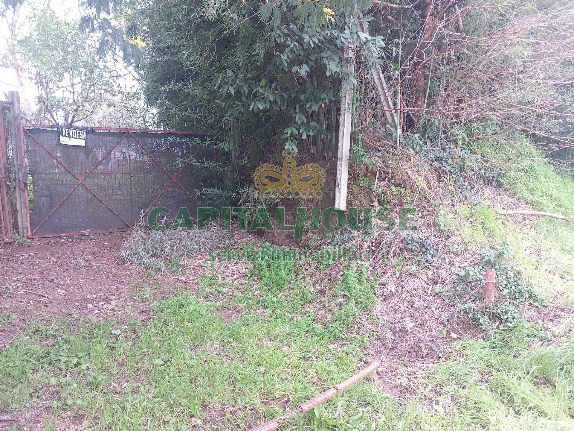 Foto 3 - Building land via calvi, Pignataro Maggiore - photo 3