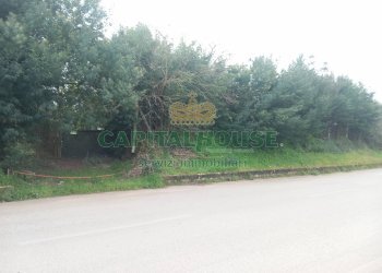 Foto 1 - Terreno edificabile via calvi, Pignataro Maggiore - foto 1