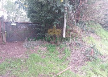 Foto 3 - Terreno edificabile via calvi, Pignataro Maggiore - foto 3