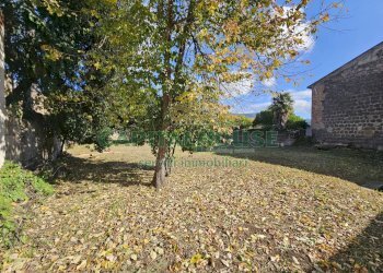 Foto 2 - Terreno edificabile vicolo nuovo, Calvi Risorta - foto 2