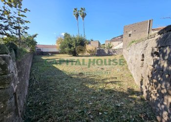 Foto 5 - Terreno edificabile vicolo nuovo, Calvi Risorta - foto 5