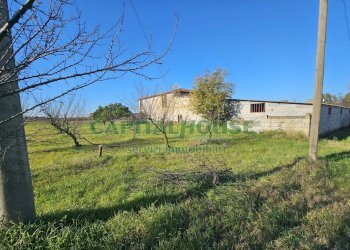 Foto 3 - Rustico via palonessa, Pignataro Maggiore - foto 3