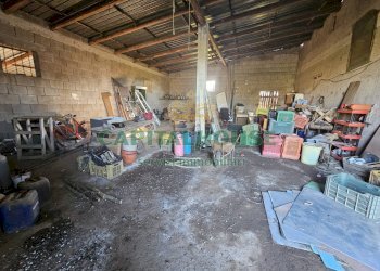 Foto 12 - Rustico via palonessa, Pignataro Maggiore - foto 12