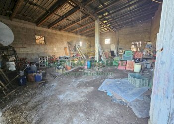 Foto 13 - Rustico via palonessa, Pignataro Maggiore - foto 13