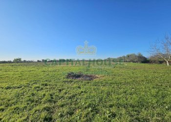 Foto 2 - Rustico via palonessa, Pignataro Maggiore - foto 2