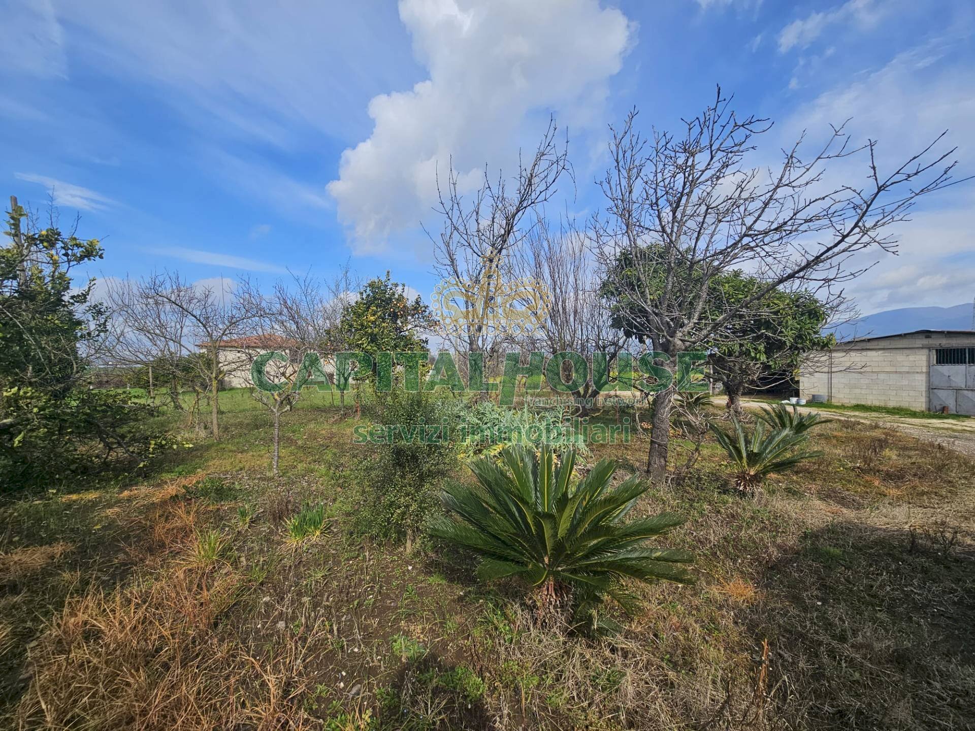 Foto 3 - Independent house Pignataro Maggiore - photo 3