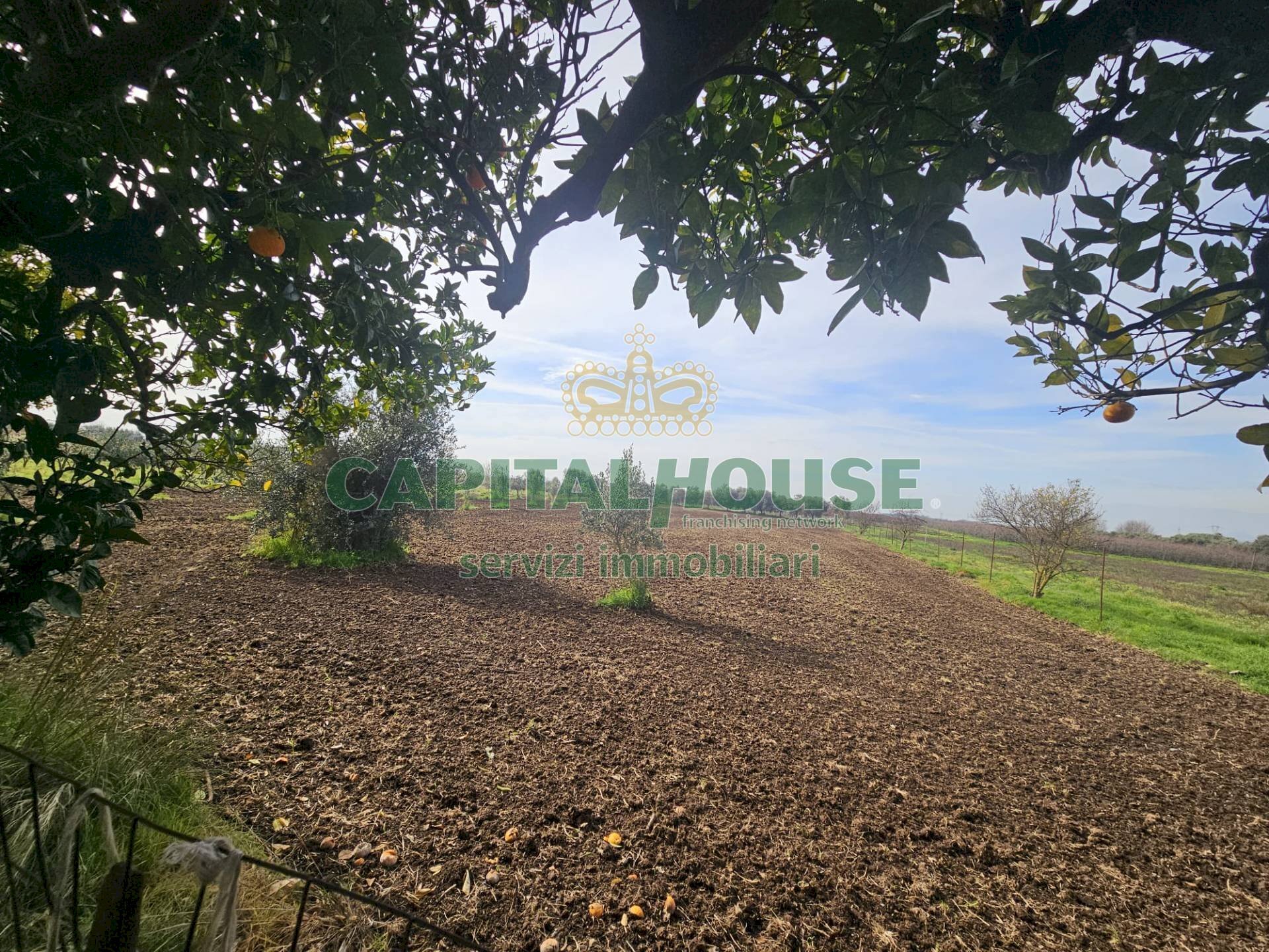 Foto 2 - Independent house Pignataro Maggiore - photo 2