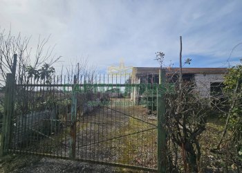 Foto 7 - Casa indipendente Pignataro Maggiore - foto 7