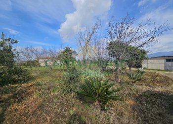 Foto 3 - Casa indipendente Pignataro Maggiore - foto 3