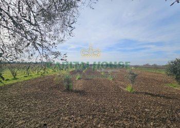 Foto 9 - Casa indipendente Pignataro Maggiore - foto 9