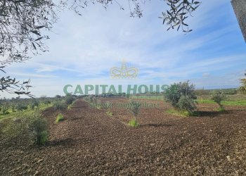 Foto 4 - Casa indipendente Pignataro Maggiore - foto 4