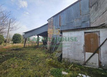 Foto 6 - Casa indipendente Pignataro Maggiore - foto 6