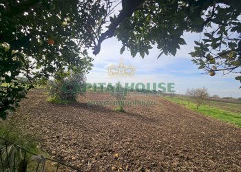 Foto 2 - Casa indipendente Pignataro Maggiore - foto 2