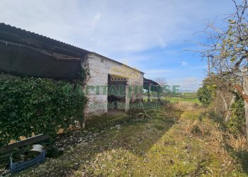 Foto 8 - Casa indipendente Pignataro Maggiore - foto 8