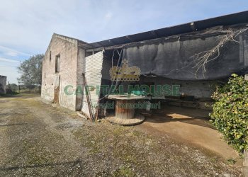 Foto 17 - Casa indipendente Pignataro Maggiore - foto 17