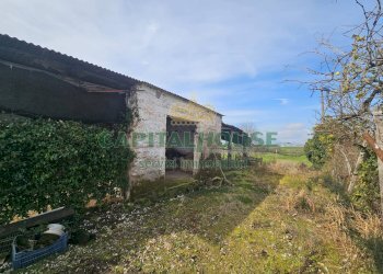 Foto 19 - Casa indipendente Pignataro Maggiore - foto 19