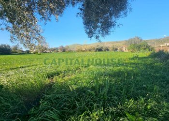 Foto 2 - Terreno edificabile via della libertà, Pignataro Maggiore - foto 2