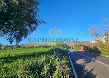 Foto 3 - Terreno edificabile via della libertà, Pignataro Maggiore - foto 3