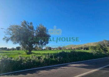 Foto 5 - Terreno edificabile via della libertà, Pignataro Maggiore - foto 5