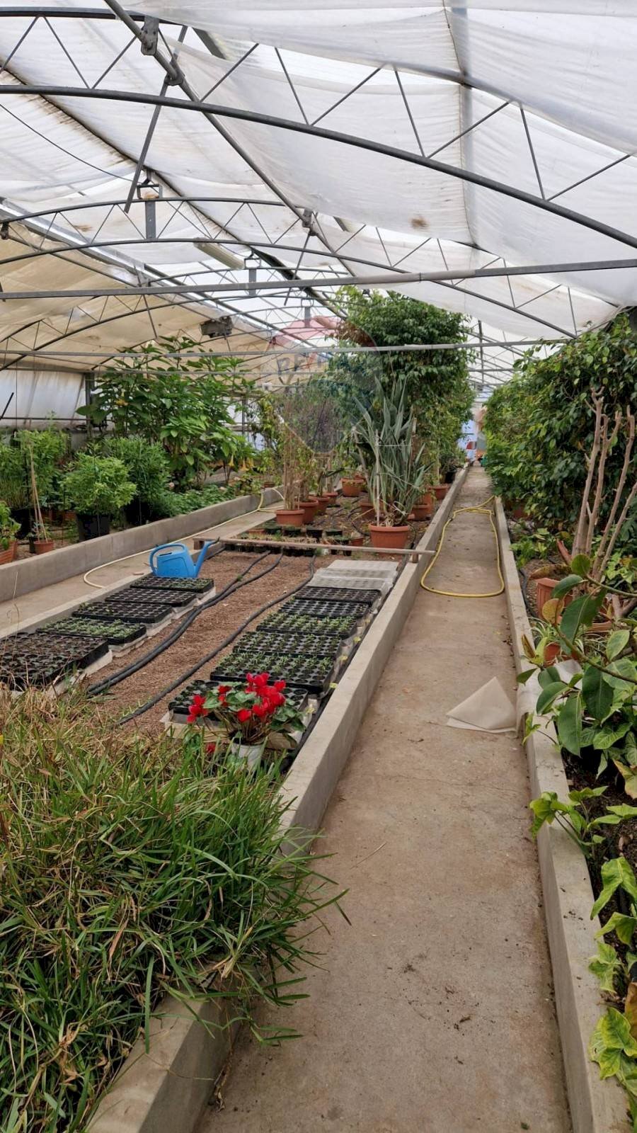 Terrazza - Locale Commerciale via Farano
 
4/a, Formia - foto 1