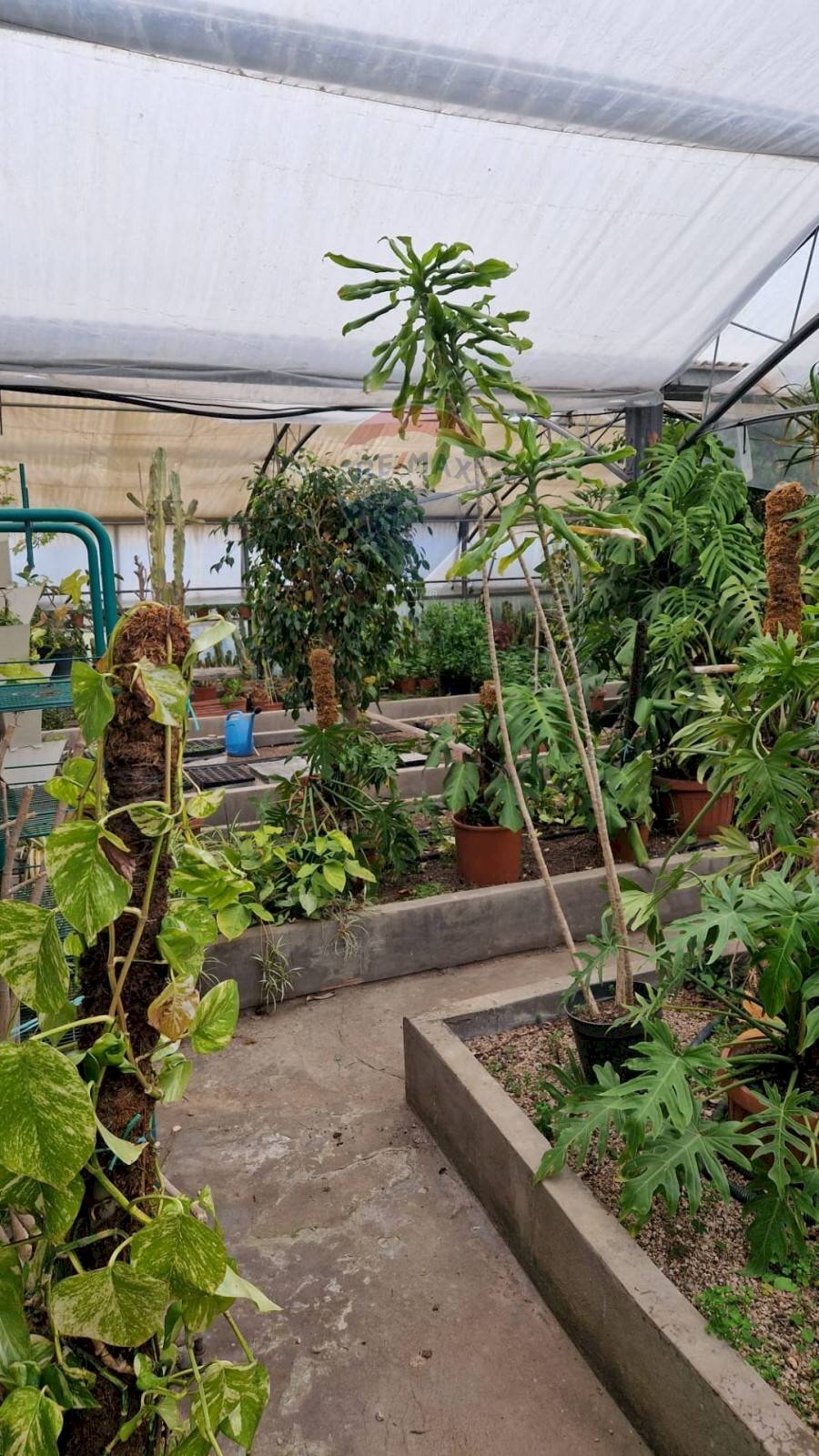 Giardino - Locale Commerciale via Farano
 
4/a, Formia - foto 2