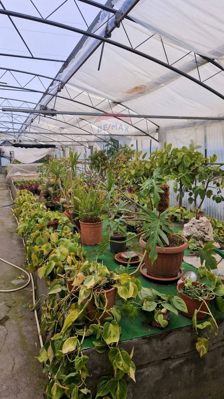 Giardino - Locale Commerciale via Farano
 
4/a, Formia - foto 3