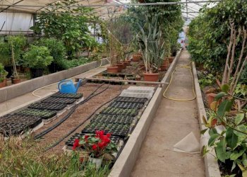 Terrazza - Commercial Premises via Farano
4/a, Formia - photo 1