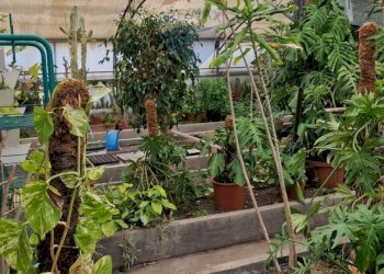 Giardino - Commercial Premises via Farano
4/a, Formia - photo 2