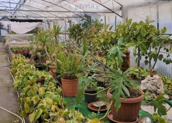 Giardino - Commercial Premises via Farano
4/a, Formia - photo 3