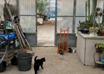 Non correlato - Commercial Premises via Farano
4/a, Formia - photo 8