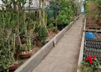 Giardino - Commercial Premises via Farano
4/a, Formia - photo 10