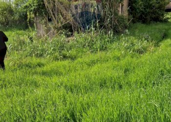 Giardino - Independent house Cassino - photo 12