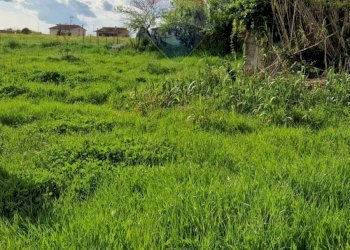 Giardino - Independent house Cassino - photo 13