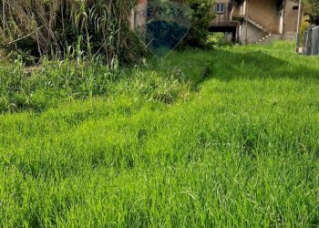 Giardino - Independent house Cassino - photo 14