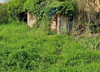 Giardino - Independent house Cassino - photo 16