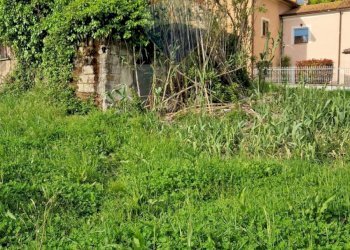 Giardino - Independent house Cassino - photo 17