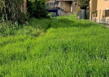 Giardino - Independent house Cassino - photo 18