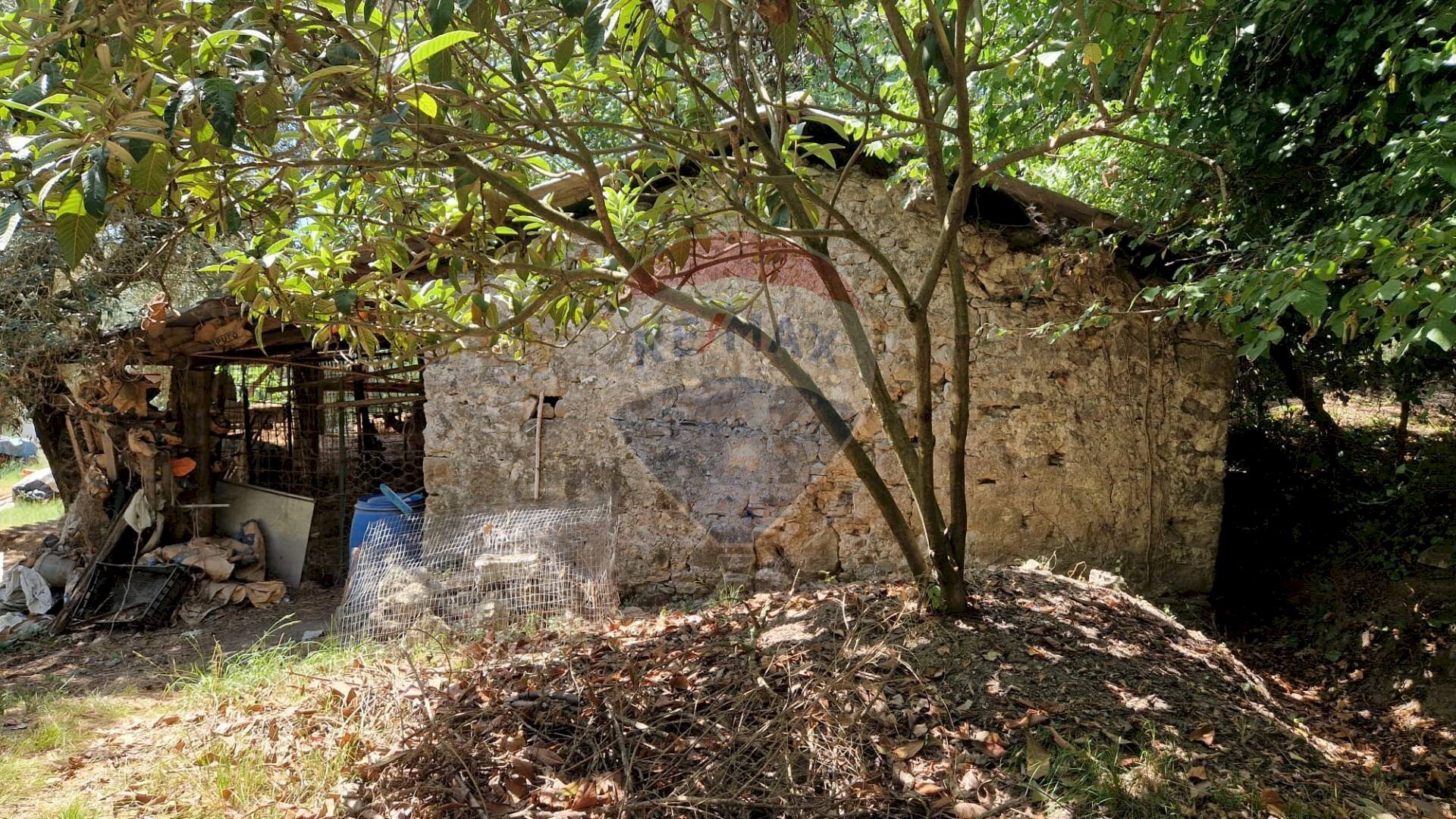 Giardino - Terreno agricolo Tre Cipolle
 
snc, Minturno - foto 1