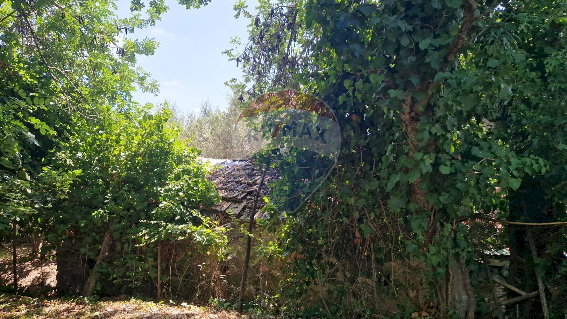 Giardino - Terreno agricolo Tre Cipolle
 
snc, Minturno - foto 2