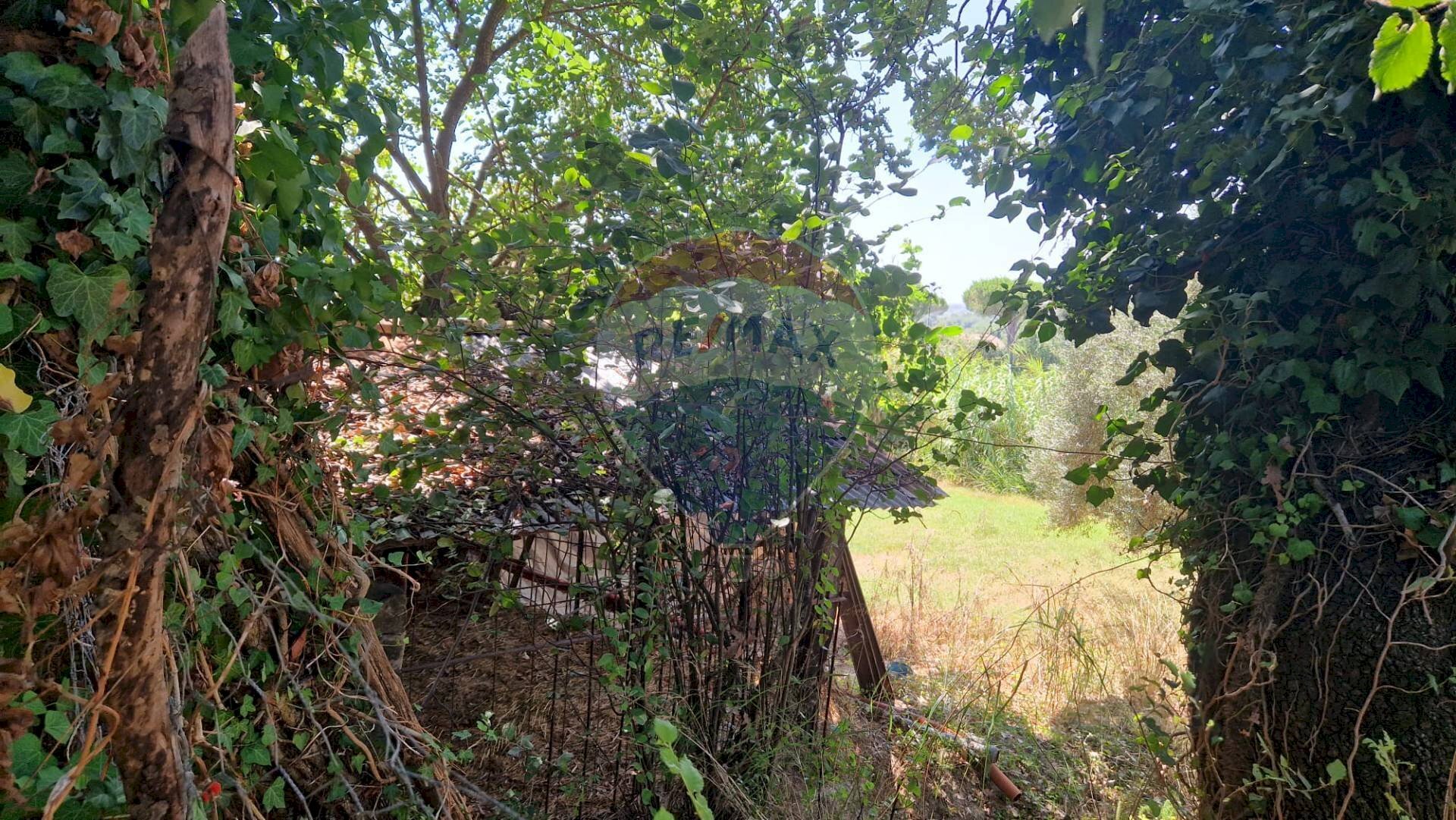 Giardino - Terreno agricolo Tre Cipolle
 
snc, Minturno - foto 3