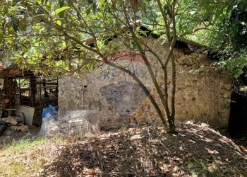 Giardino - Terreno agricolo Tre Cipolle
 
snc, Minturno - foto 1