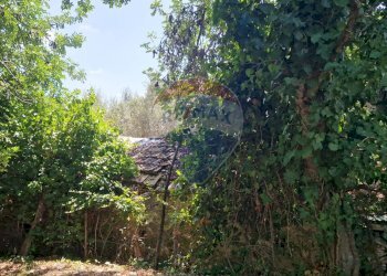 Giardino - Terreno agricolo Tre Cipolle
 
snc, Minturno - foto 2