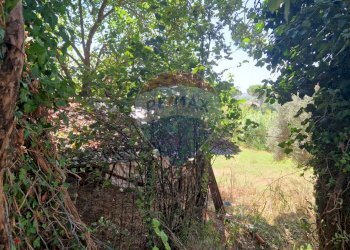 Giardino - Terreno agricolo Tre Cipolle
 
snc, Minturno - foto 3