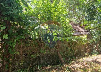 Giardino - Terreno agricolo Tre Cipolle
 
snc, Minturno - foto 4