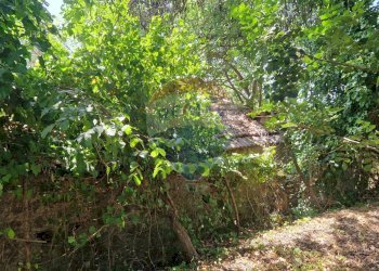 Giardino - Terreno agricolo Tre Cipolle
 
snc, Minturno - foto 5