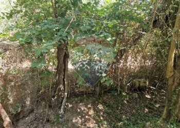 Giardino - Terreno agricolo Tre Cipolle
 
snc, Minturno - foto 6