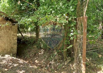 Giardino - Terreno agricolo Tre Cipolle
 
snc, Minturno - foto 7